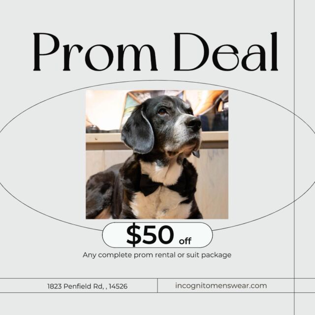 👀Looking for an awesome prom deal? Well, look no further! We are offering $50 off any complete prom rental or suit package! Want more info? Check out our website http://incognitomenswear.com/ or give us a call! 585-586-7846 👔

Make an appointment to get fitted for your prom suit today! ➡️ https://incognitomenswear.com/appointment-request/ 

#prom2024🎓✨️ #prom2024 #prom #suit #promsuit #Promsuits #promsuits #promsuitswag #promtux #promtuxedo #promtuxrental